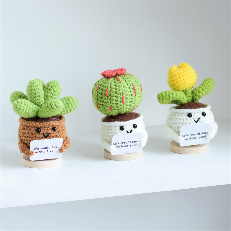 Mini Cute Crochet Flowers Fini - Cactus Mix Pot recension och pris