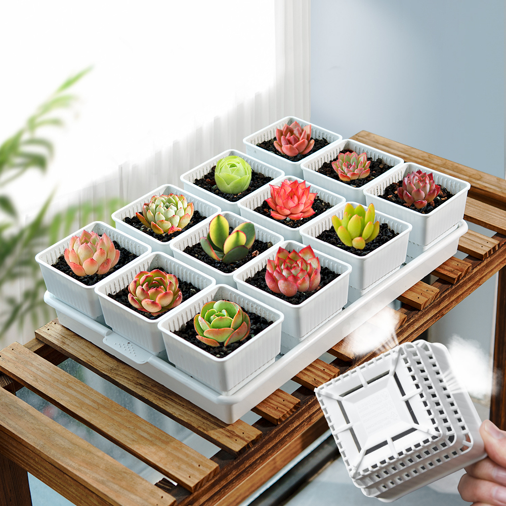 Meshpot Succulent Pot Plastic  - Cactus Mix Pot recension och pris