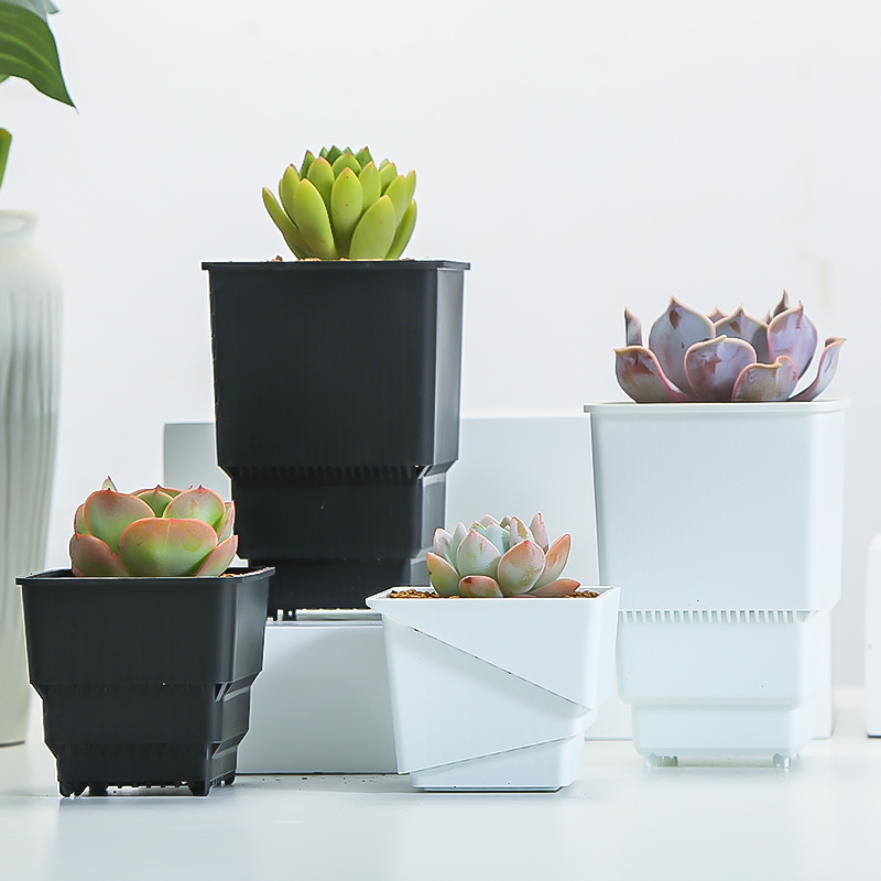 Meshpot Succulent Pot Plastic  - Cactus Mix Pot recension och pris
