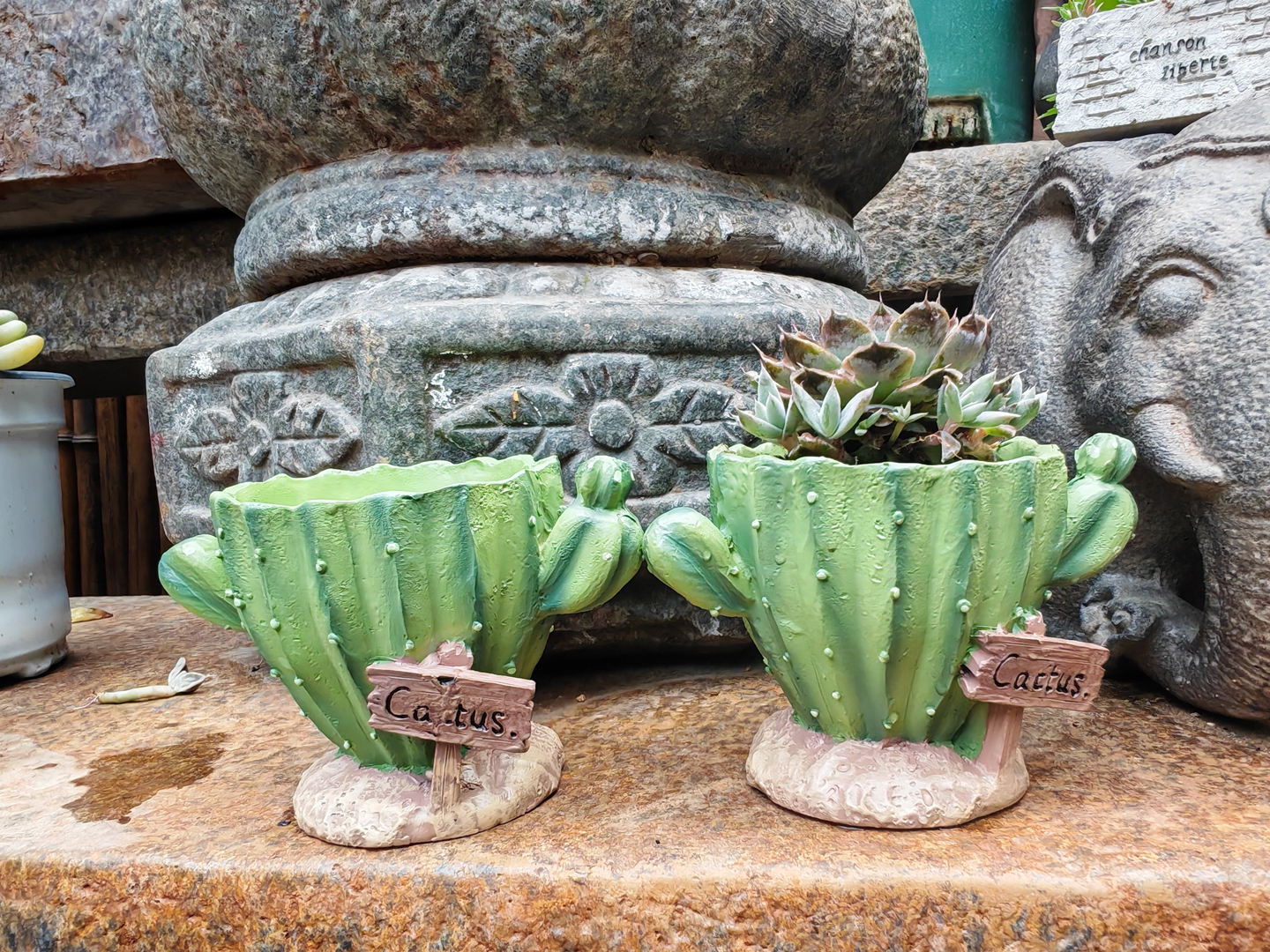 Cactus Flower Planter Pot Cute - Cactus Mix Pot recension och pris