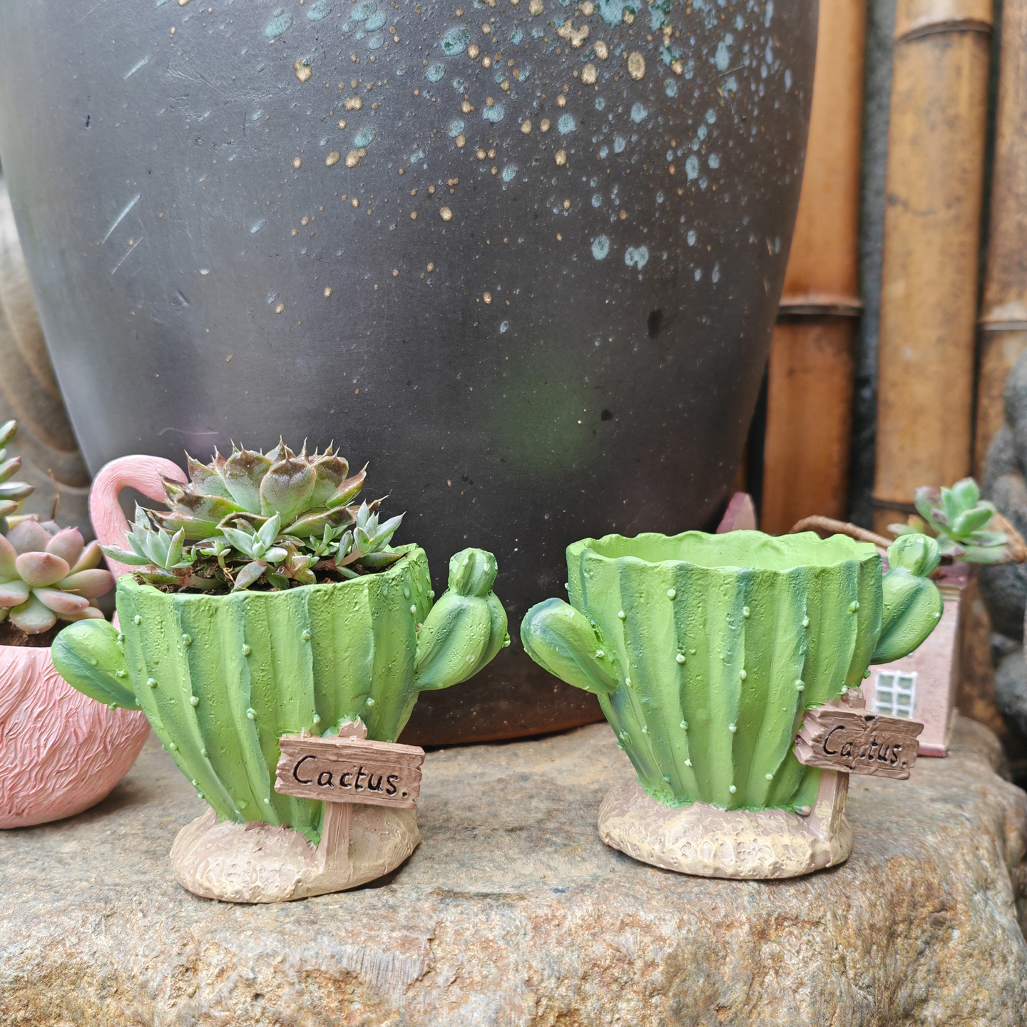 Cactus Flower Planter Pot Cute - Cactus Mix Pot recension och pris