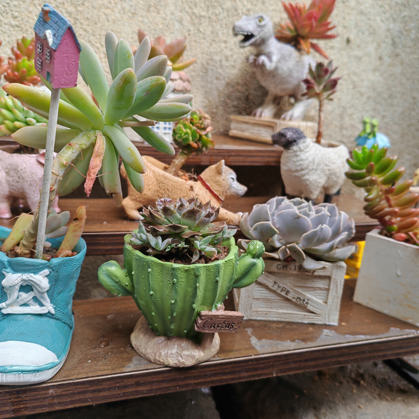 Cactus Flower Planter Pot Cute - Cactus Mix Pot recension och pris