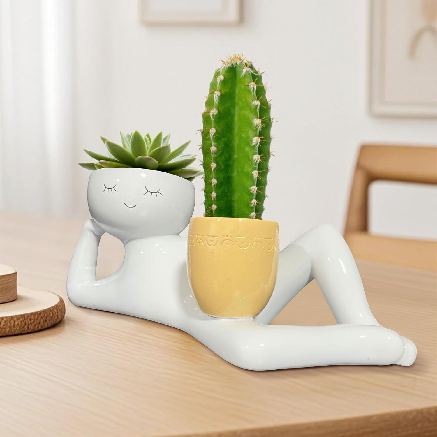 Lazy Little Guy Planter Unique - Cactus Mix Pot recension och pris