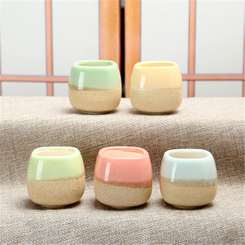 Mini Jelly Shape Cartoon Ceram - Cactus Mix Pot recension och pris