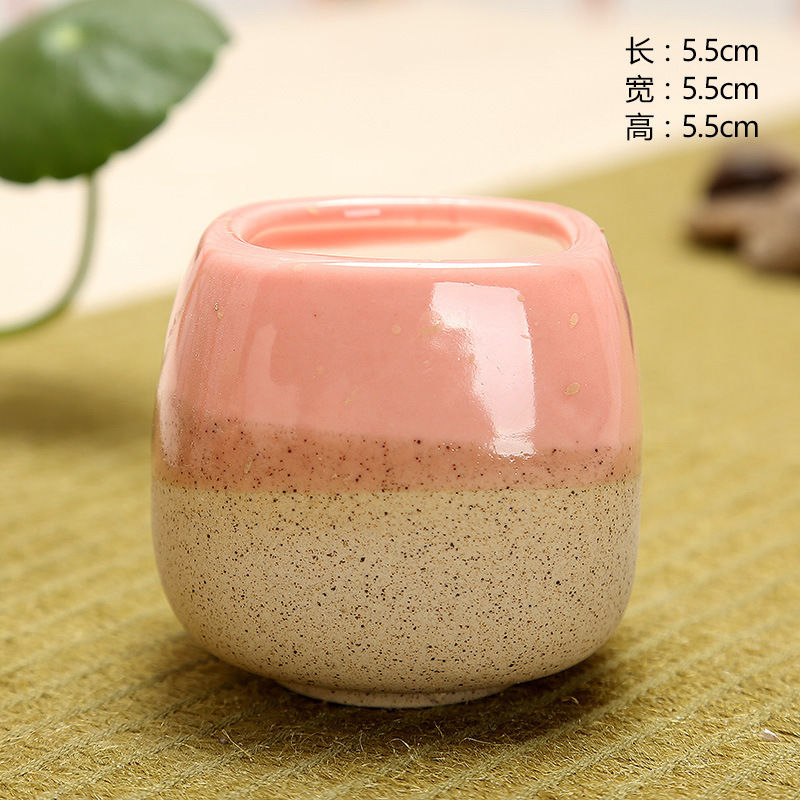 Mini Jelly Shape Cartoon Ceram - Cactus Mix Pot recension och pris