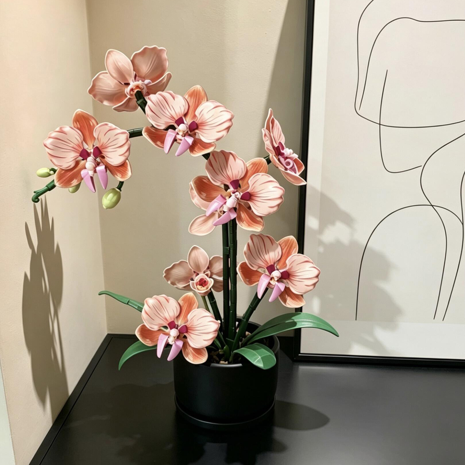 Orange Phalaenopsis Orchid Bui - Plant Parent Gifts recension och pris