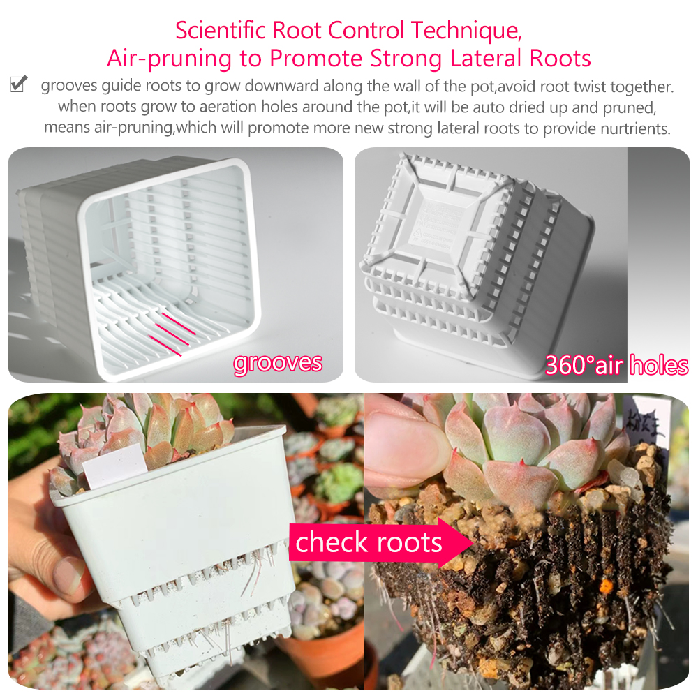 Meshpot Succulent Pot Set Cact - Cactus Mix Pot recension och pris