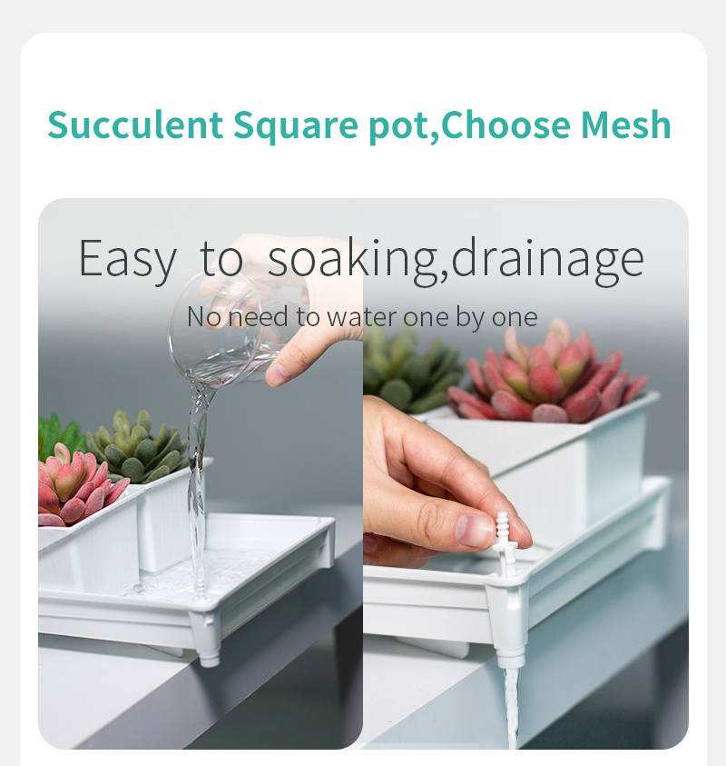 Meshpot Succulent Pot Set Cact - Cactus Mix Pot recension och pris