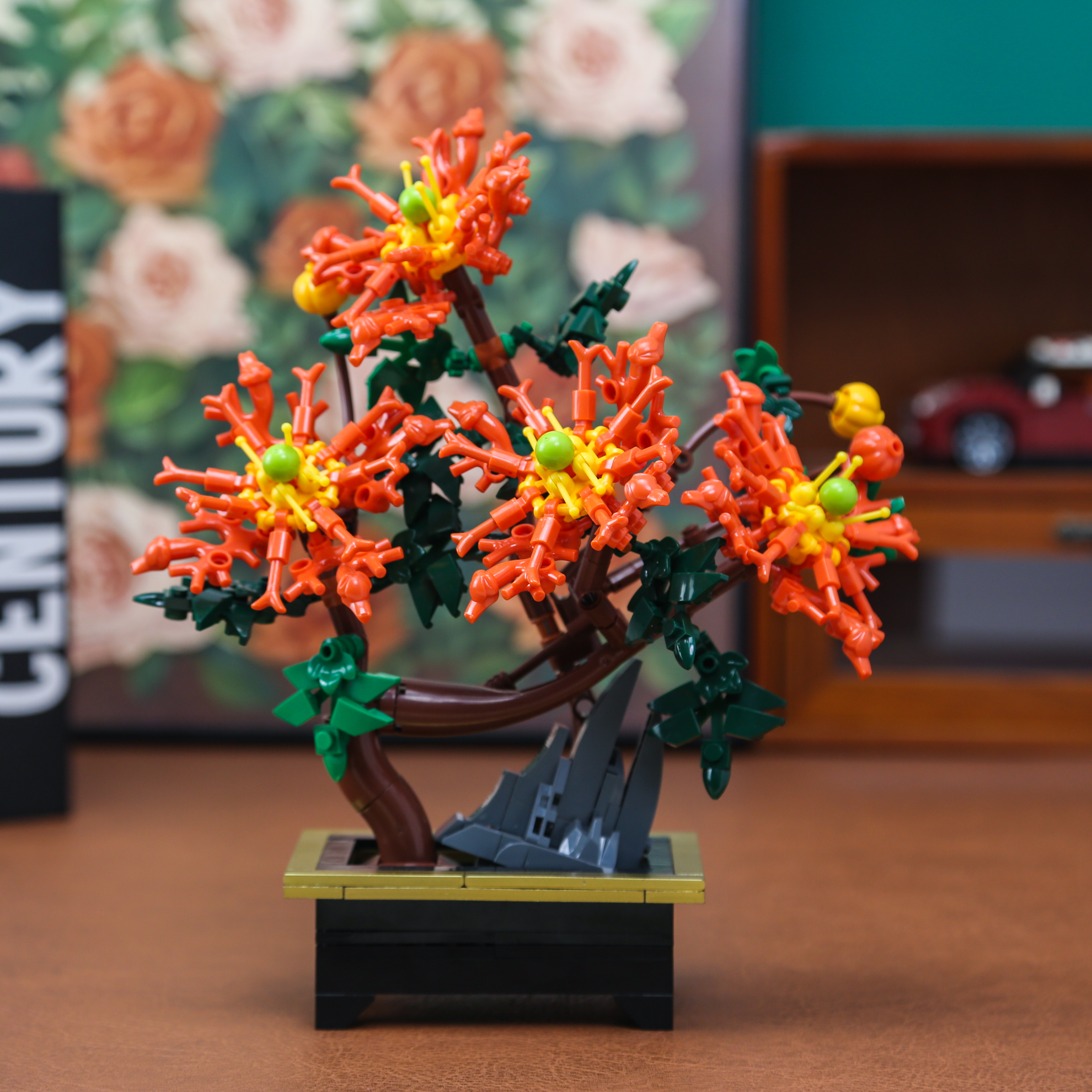 Dragon Claw Chrysanthemum Bons - Plant Parent Gifts recension och pris