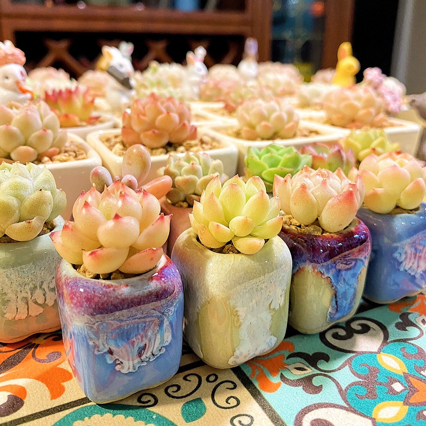 10Pcs Mini Ceramics Fowerpot M - Cactus Mix Pot recension och pris