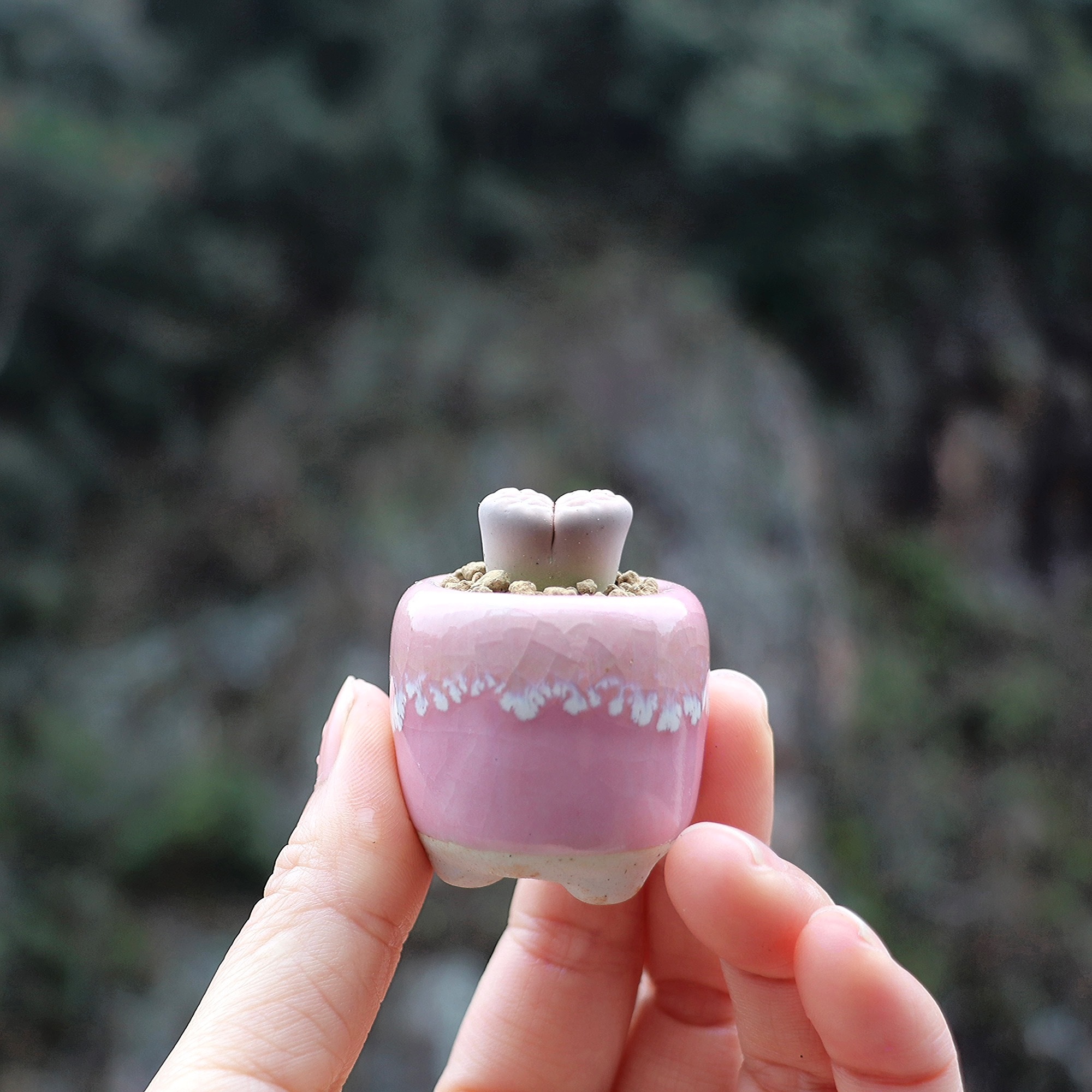 10Pcs Mini Ceramics Fowerpot M - Cactus Mix Pot recension och pris