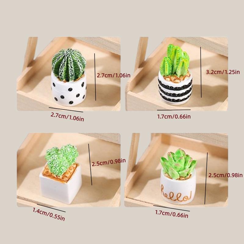 4-Piece Set of Cactus Succulen - Cactus Mix Pot recension och pris