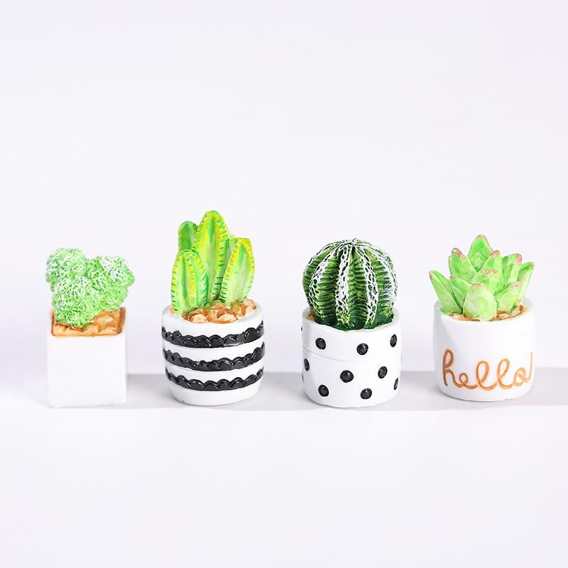 4-Piece Set of Cactus Succulen - Cactus Mix Pot recension och pris