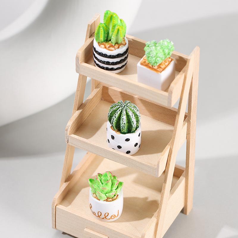 4-Piece Set of Cactus Succulen - Cactus Mix Pot recension och pris