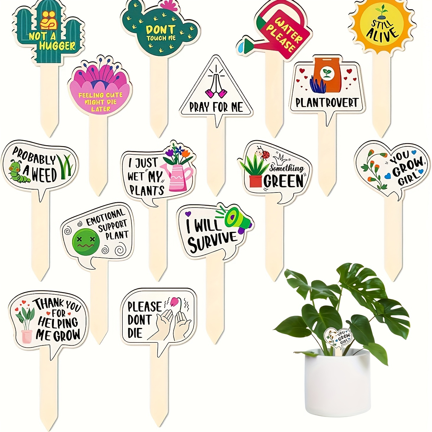 5/10Pcs Plant Labels for Succu - Plant Parent Gifts recension och pris
