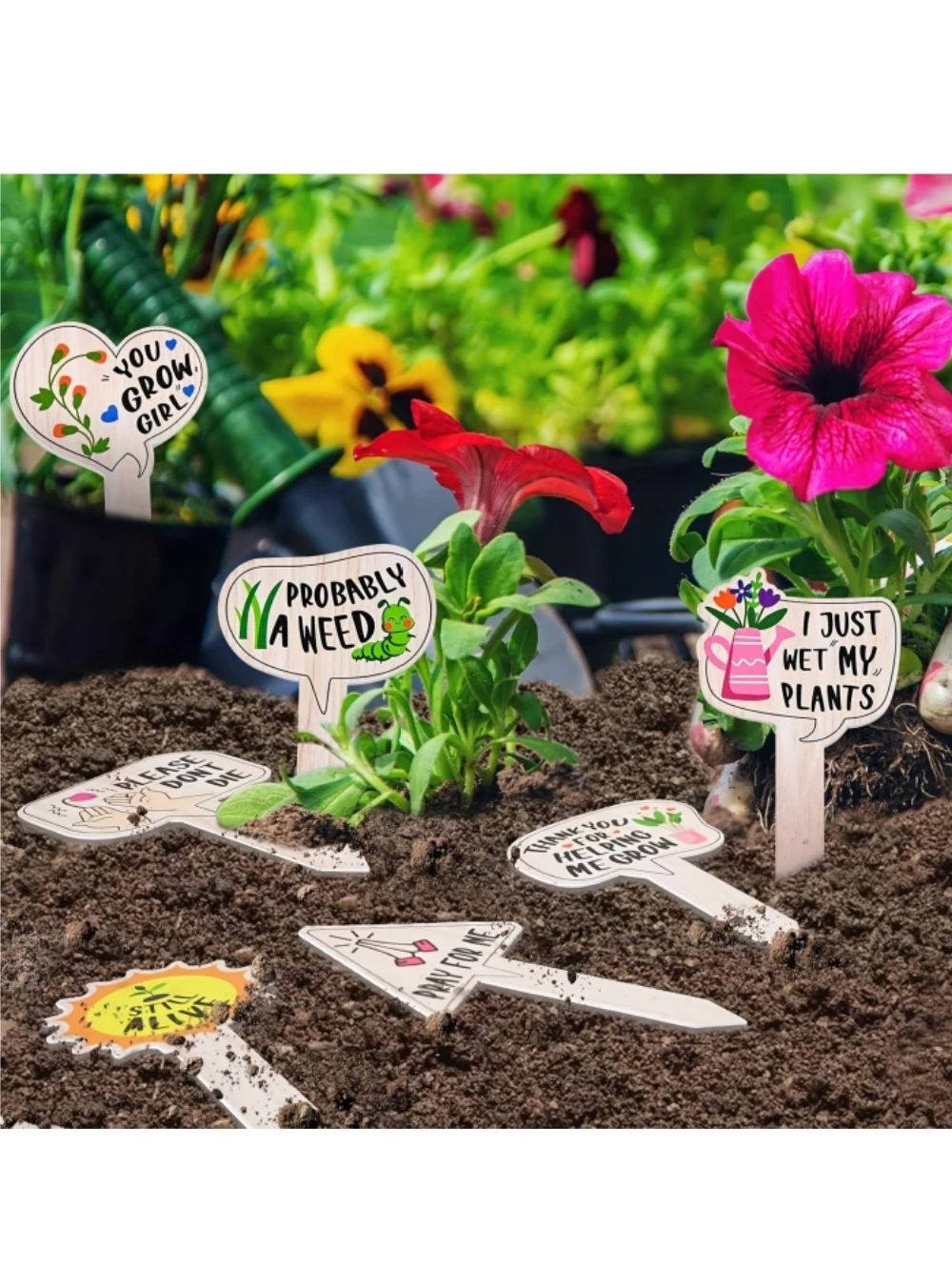 5/10Pcs Plant Labels for Succu - Plant Parent Gifts recension och pris