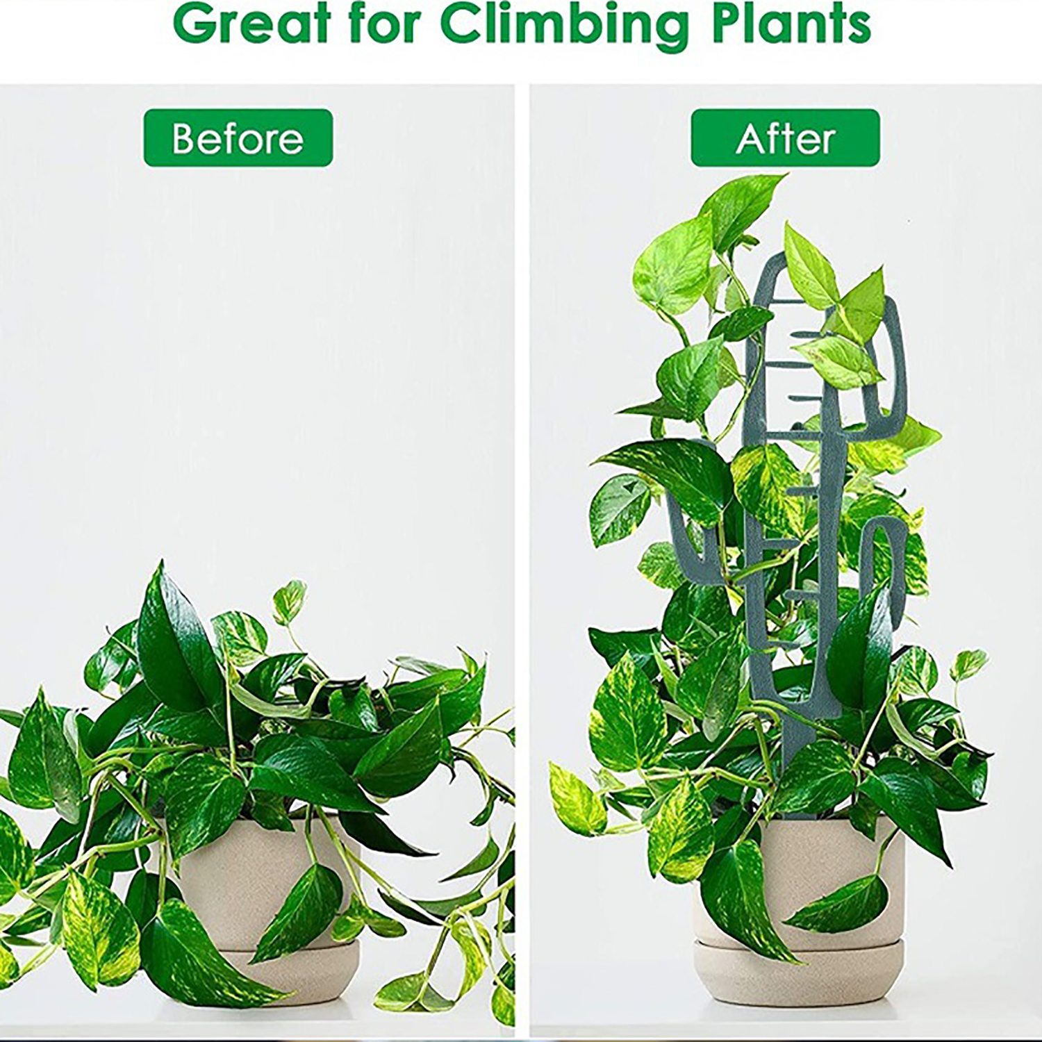 Plant Climbing Support Stand F - Cactus Mix Pot recension och pris