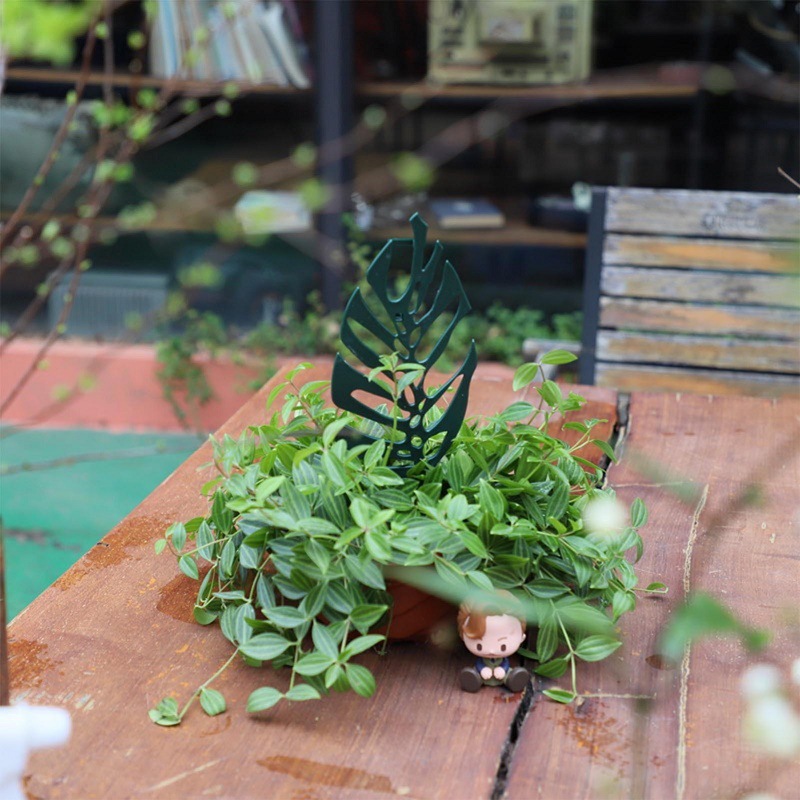 Plant Climbing Support Stand F - Cactus Mix Pot recension och pris