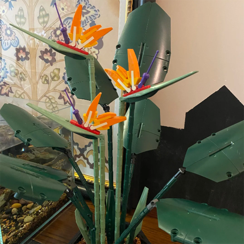 1378PCS Paradise Bird Potted P - Plant Parent Gifts recension och pris