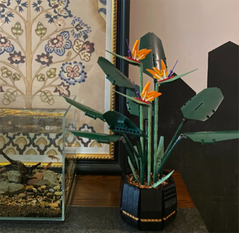 1378PCS Paradise Bird Potted P - Plant Parent Gifts recension och pris